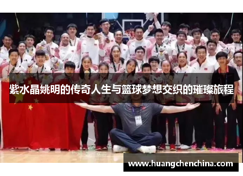 紫水晶姚明的传奇人生与篮球梦想交织的璀璨旅程