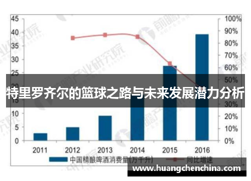 特里罗齐尔的篮球之路与未来发展潜力分析